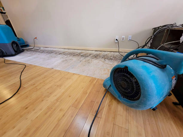 Professional Water Damage Repair technician working in Moundsville, WV